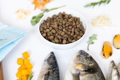 Ydolo Healthy &amp; Pure Wild Fish Art. Nr. 01122