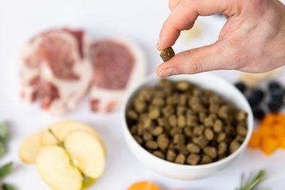 Ydolo Healthy &amp; Pure Iberico Art. Nr. 01121