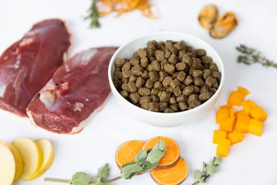 Ydolo Healthy &amp; Pure Duck Art. Nr. 01123