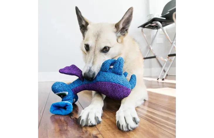 KONG® speelgoed woozles alien blauw &amp; paars Art. Nr. 00440
