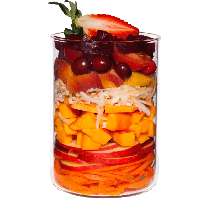 Terra Canis red detox - groenten &amp; fruit Art. Nr. 00724