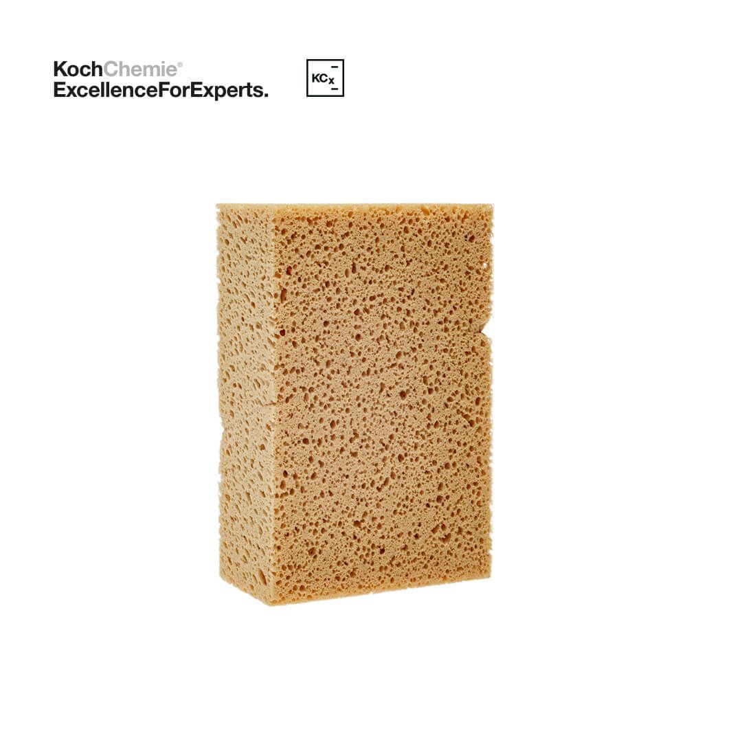 Svampur - Mjúkur/Stór