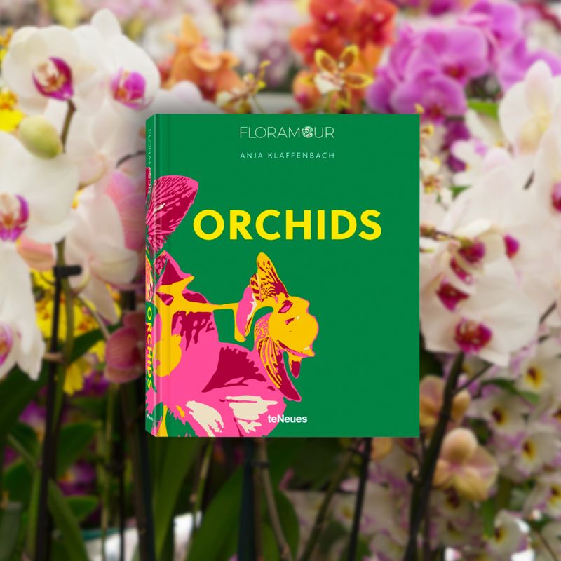FLORAMOUR: Orchids FLORAMOUR: Orchids