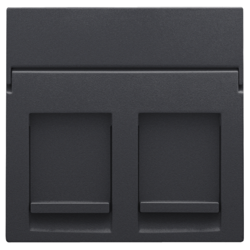 Centraalplaat data 2x RJ, anthracite
Referentiecode
122-65200