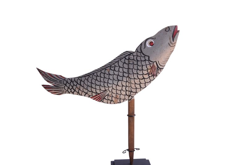 Grey fish