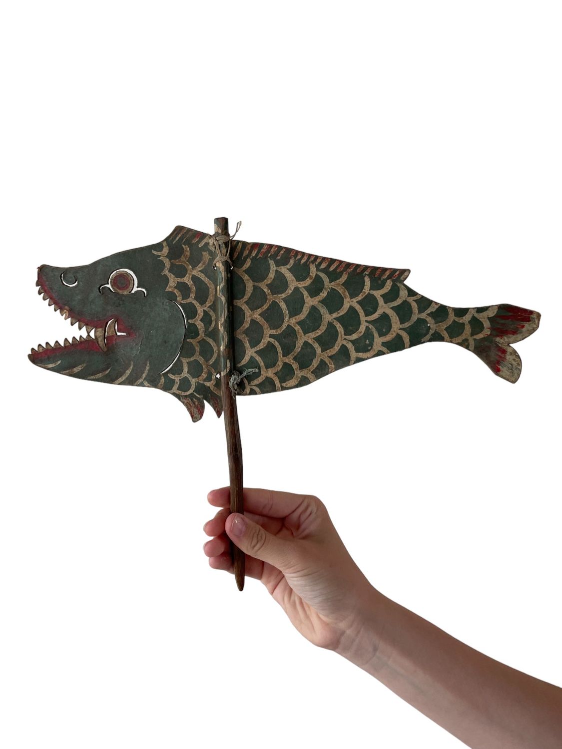 Small green fish Small green fish