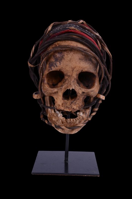 Dayak Skull - Iban Dayak Dayak Skull - Iban Dayak