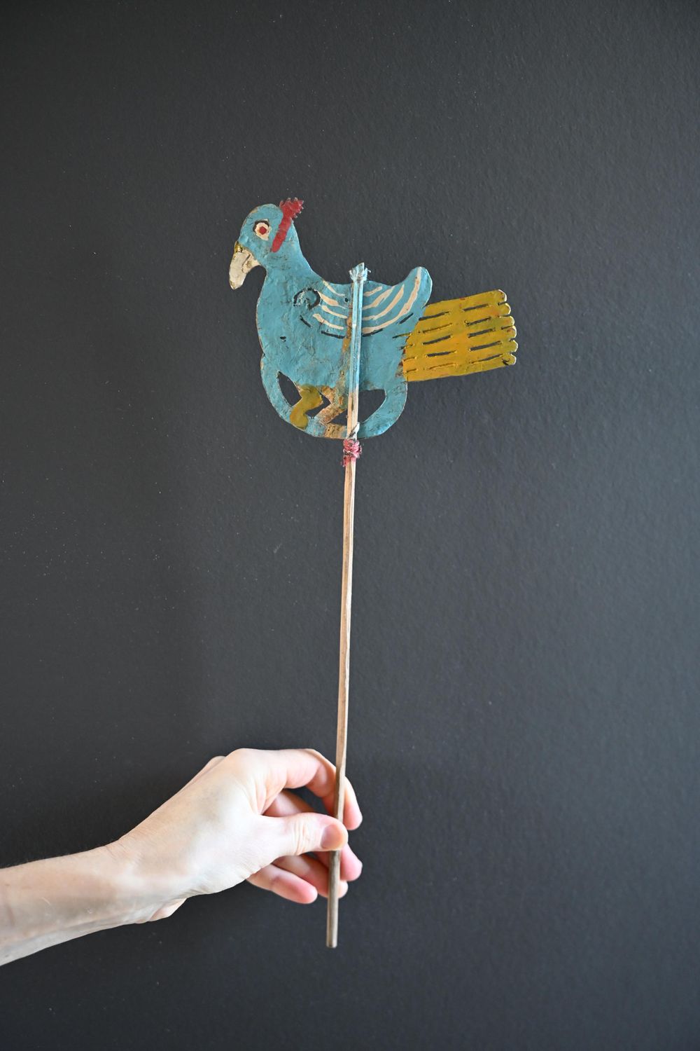 Blauwe vogel Blauwe vogel