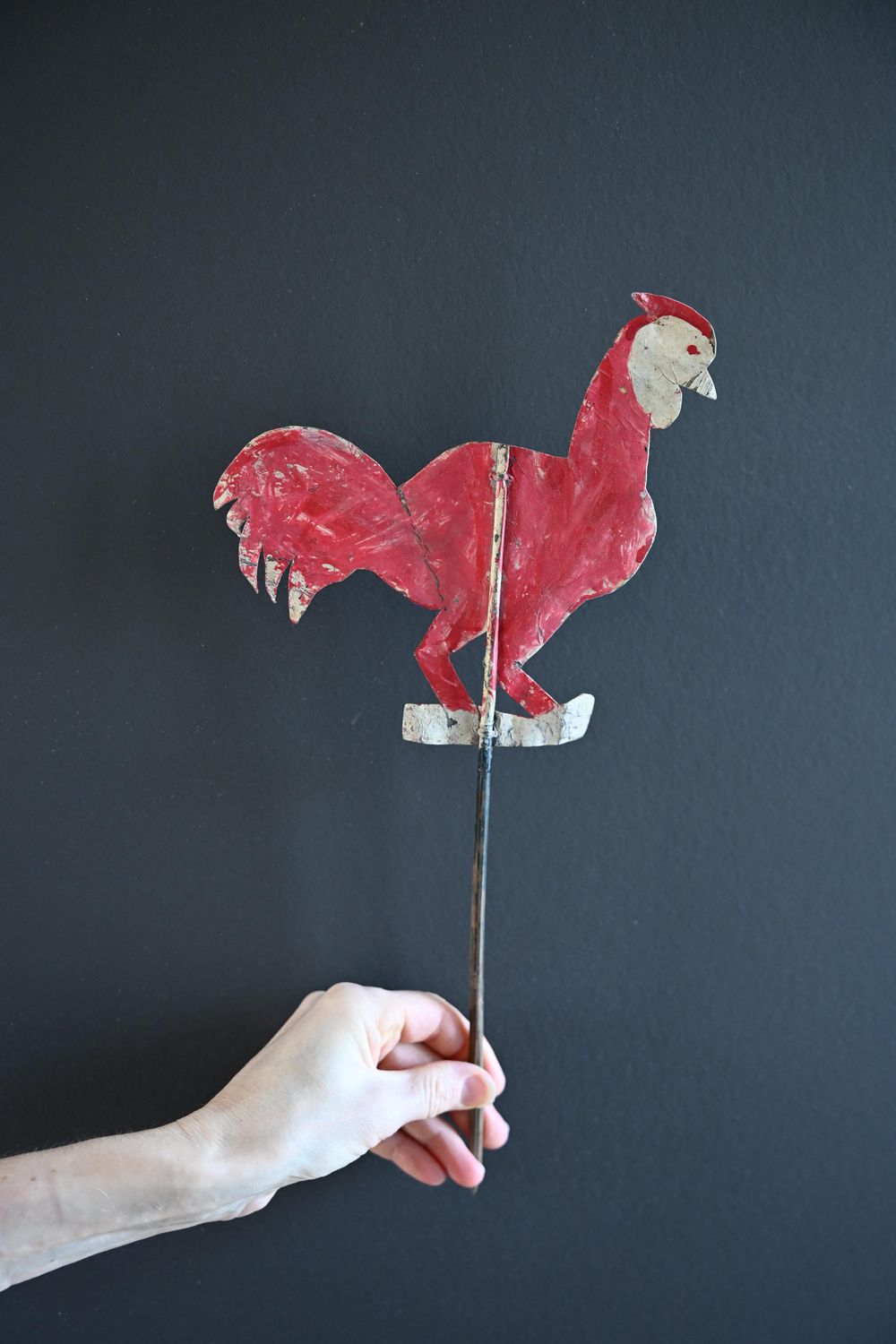 Red rooster