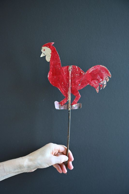 Red rooster