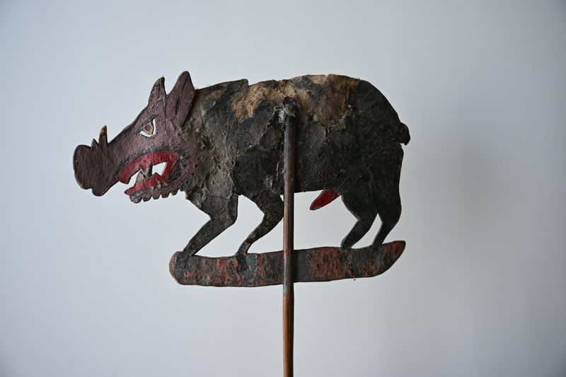 Pig