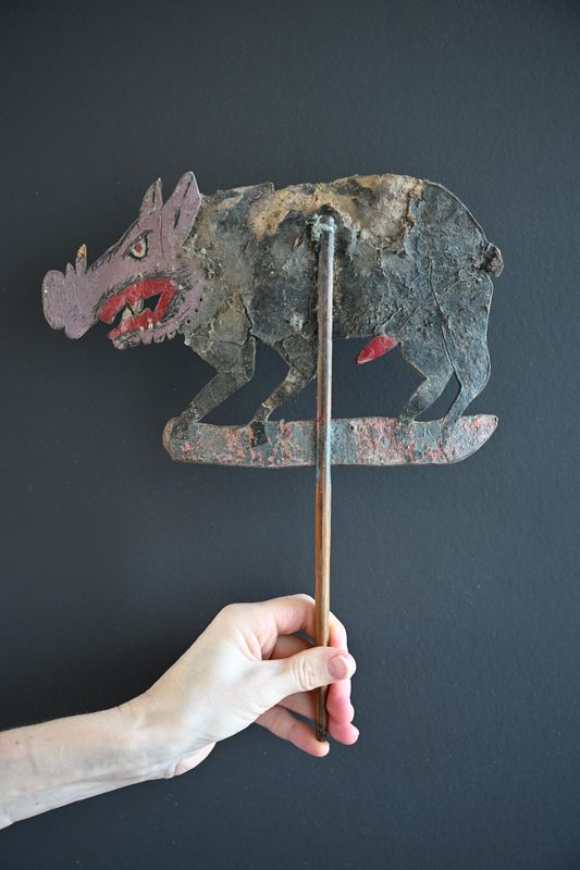 Pig