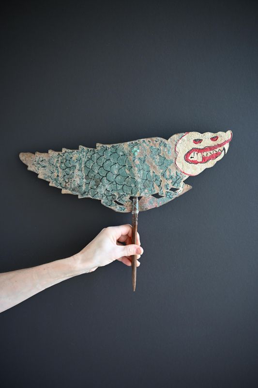 Buaya - Crocodil