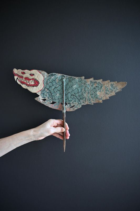 Buaya - Crocodil