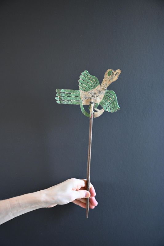 Little green bird