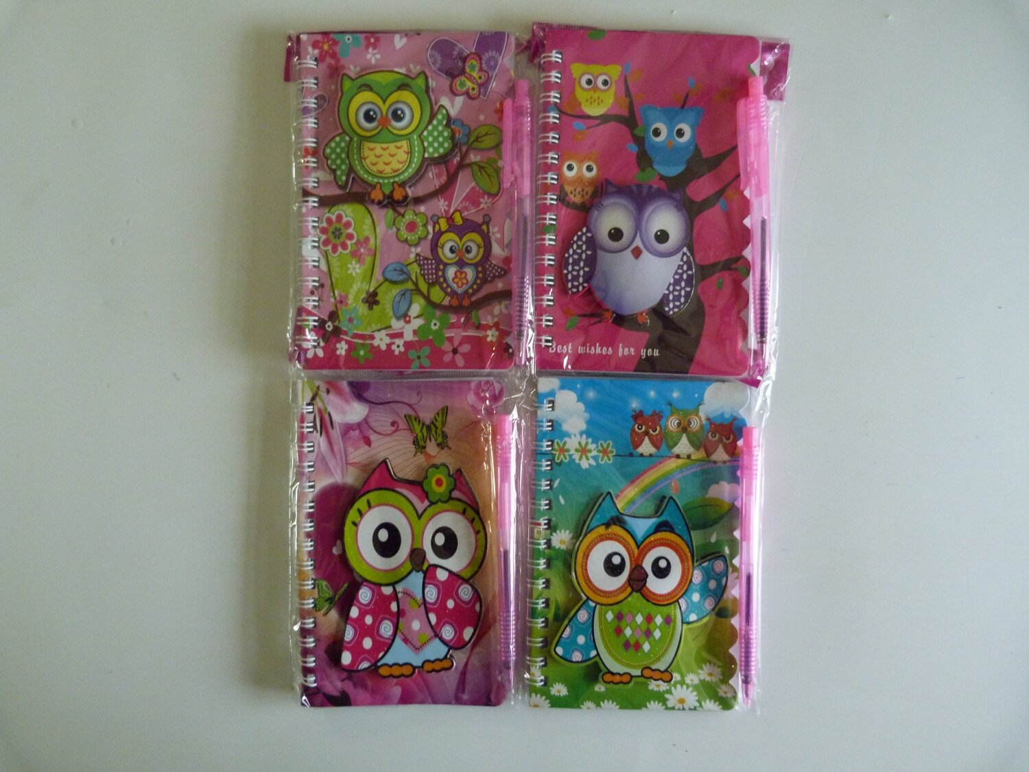 Boekjes uil met pen
