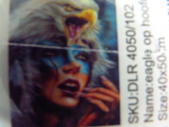 Diamond painting Eagle op hoofd 40/50