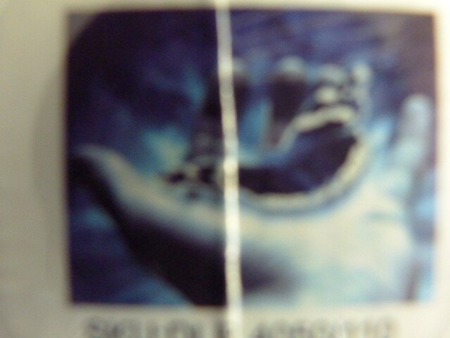 Diamond painting Vlinder in hand 40/50