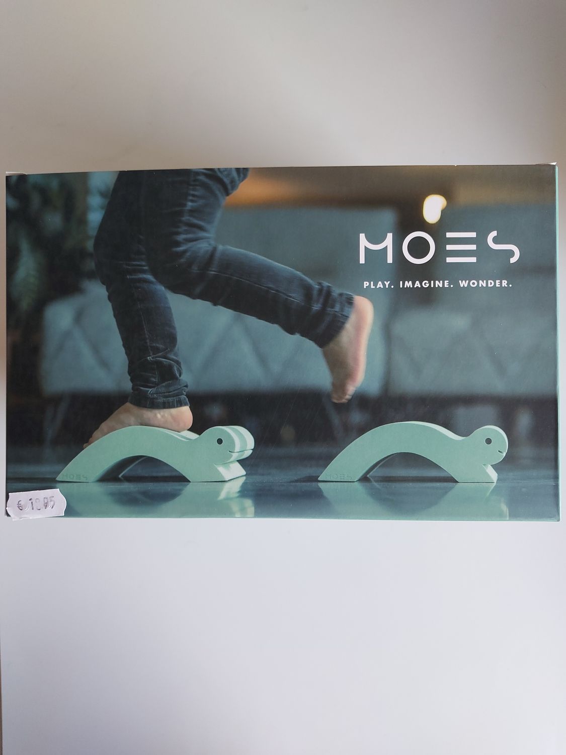 MOES Baby turtles 2st