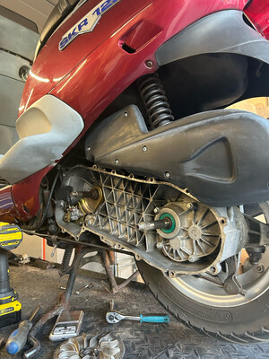Motorische Onderdelen 