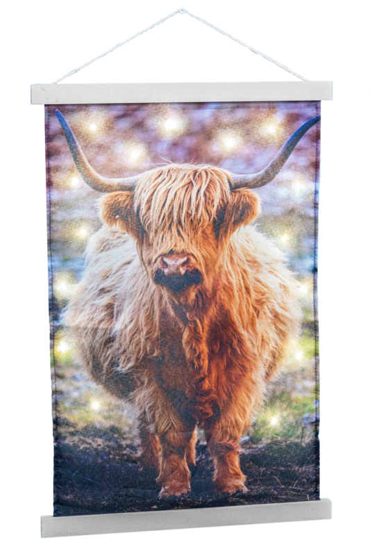 Wandkleed Schotse Hooglander met 40 LED warm wit 75 x 120  cm
