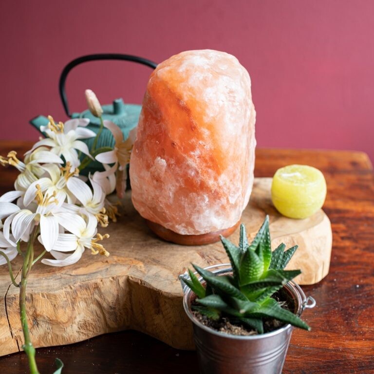 Himalaya Zoutlamp Roze