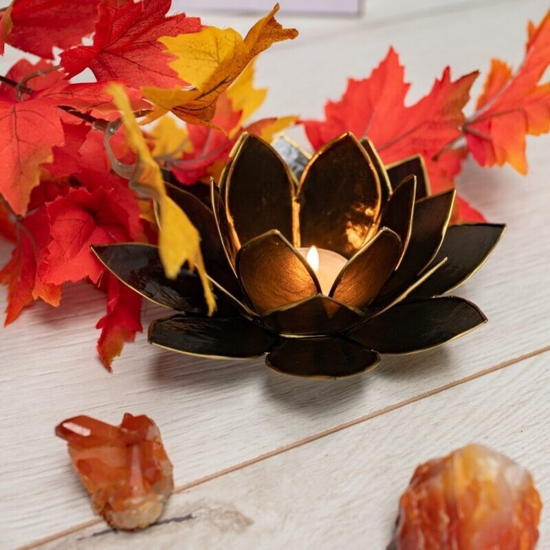 Lotus Sfeerlicht Zwart Goudrand