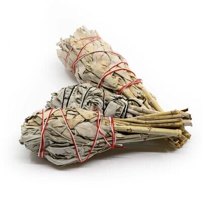 Witte Salie Smudge Stick