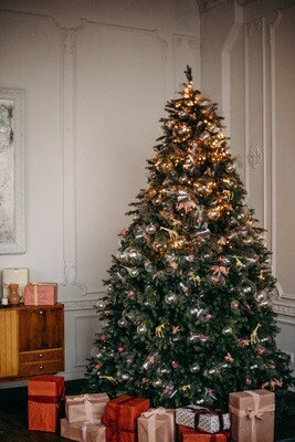 Kerstbomen