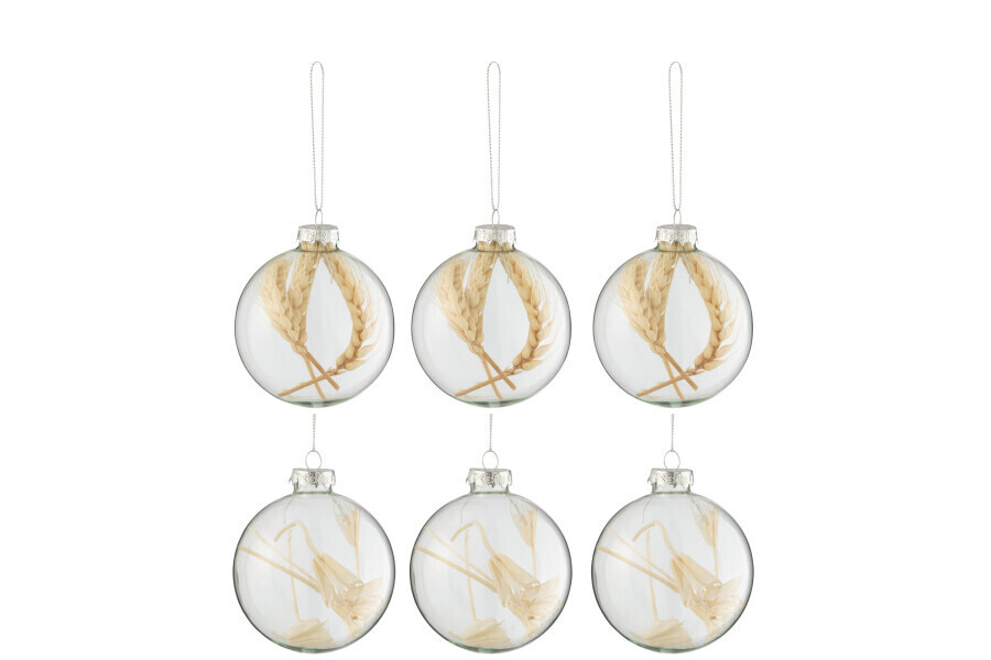 Doos Van 6 Kerstballen Gedroogde Takjes Beige Glas Transparant Small H 10 x Bb 7,5 x L 7,5 cm  (27700)