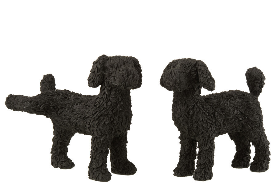 Hond Max Poly Zwart Assortiment Van 2 H 21 x B 12 x L 21 cm (16025)