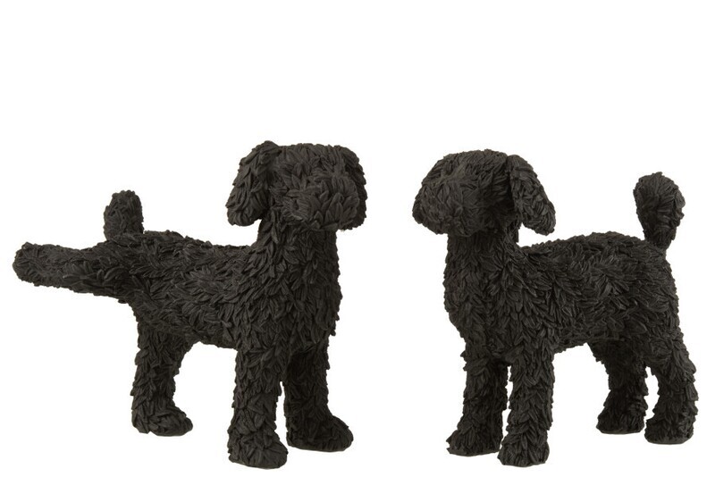 Hond Max Poly Zwart Assortiment Van 2 H 21 x B 12 x L 21 cm (16025)