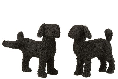 Hond Max Poly Zwart Assortiment Van 2 H 21 x B 12 x L 21 cm (16025)