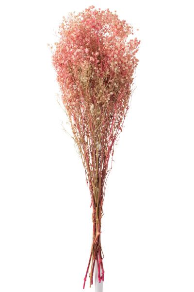 Bundel Gypsophilia Gedroogd Roze H 84 x B 5 x L 10 cm
 (12370)