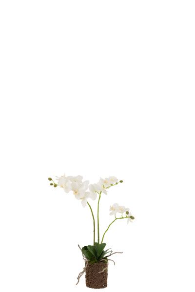 Orchidee In Aarde Plastiek Wit/Groen Medium H 52 x B 15 x L 30 cm
(12487)