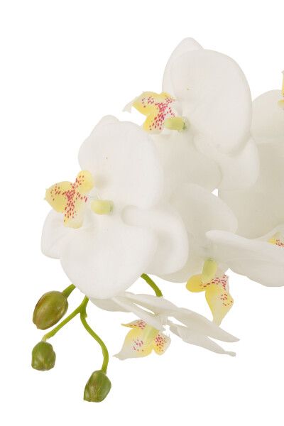 Orchidee In Aarde Plastiek Wit/Groen Large H 75 x B 32 x L 32 cm (12488)