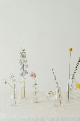 BLOEMEN/PLANTEN