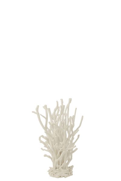 Decoratie Theeboomhout Wit Small H 50 x B 28 x L 33 cm (45012)