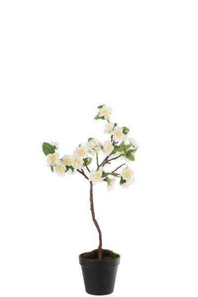 Arbre fleuri Plastique Blanc/Marron Petit H 52 x L 24 x L 24 cm (12492)