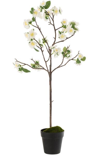 Bloesemboom Plastiek Wit/Bruin Medium H 88 x B 25 x L 18 cm (12493)