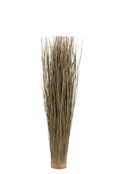 Grassen Gedroogd Rond Groen Small (2510)