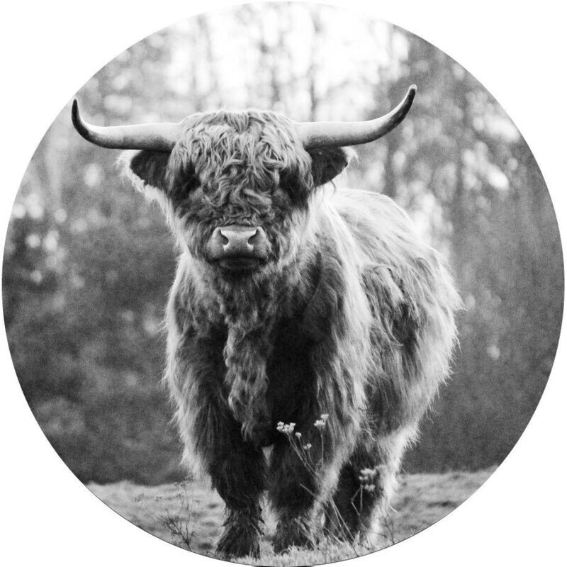 Glasschilderij Ø 50 cm Buffel staand zwart-wit
