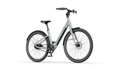Reany V1 Vivo