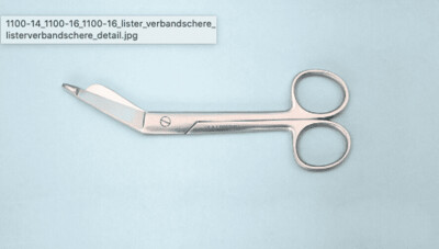 Listerschaar - 16cm - kniegebogen