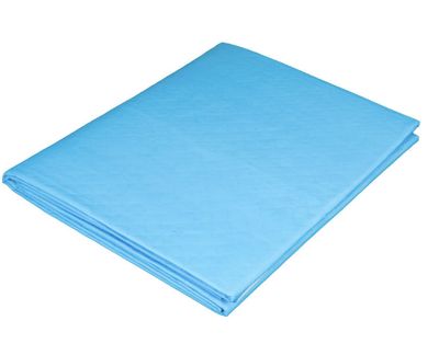 Wegwerp bedlaken met pad - doos van 20