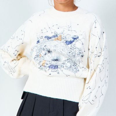 Pull met blauwe borduur