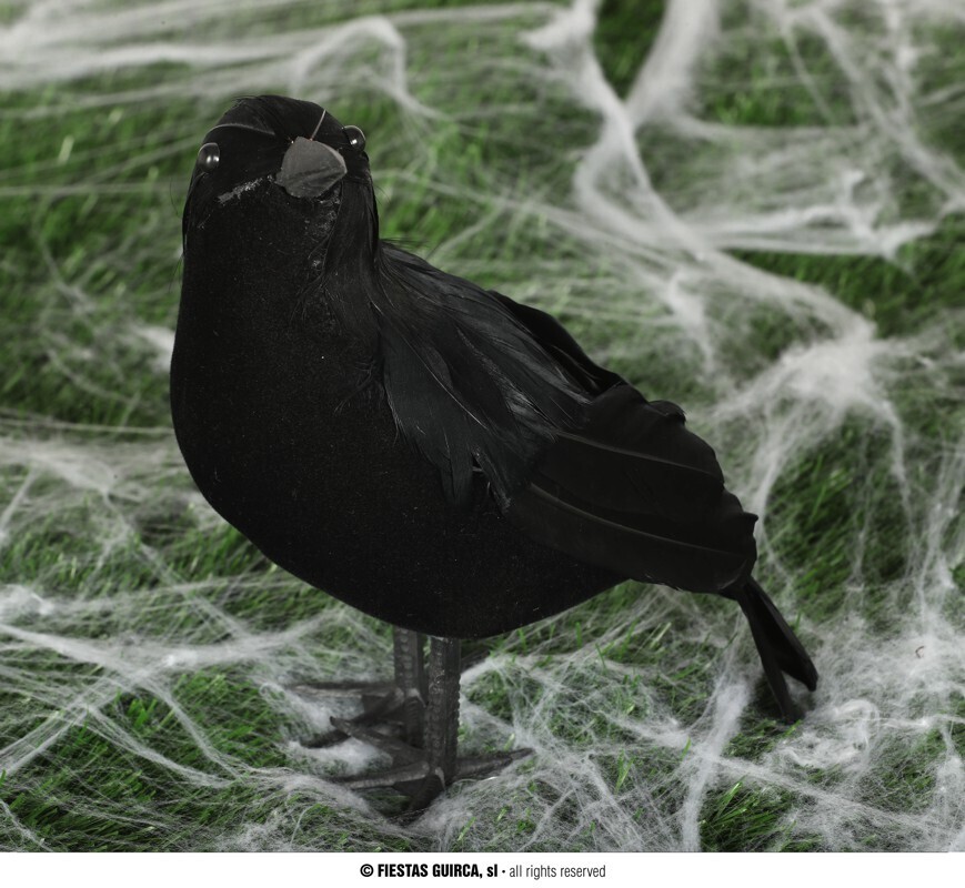 crow 25 cm