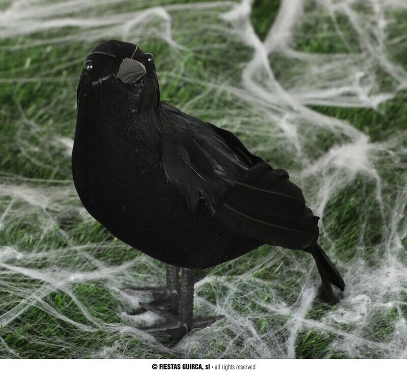 crow 25 cm