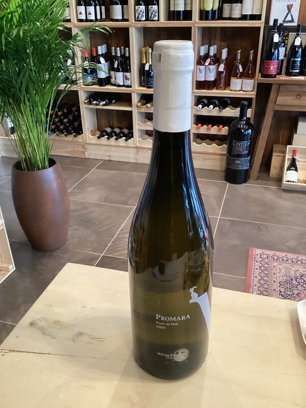 PROMARA, VOUNI PANAYIA WINERY Cyprus