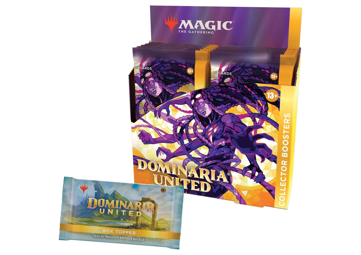Dominaria United - Collector booster display